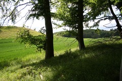 Killikus&reg; Fotographie